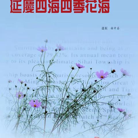 延庆四海四季花海