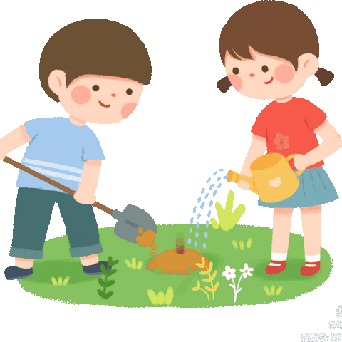 初二六班————品种植之趣 享劳动之乐