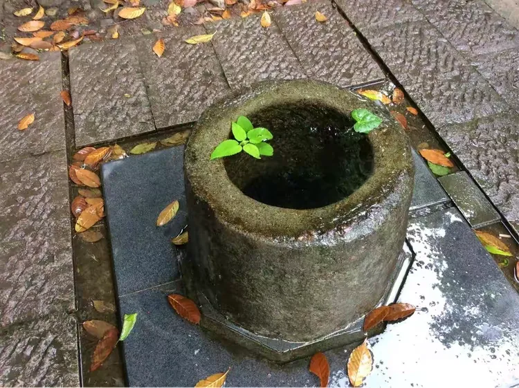 井水一直溢出水面的古井