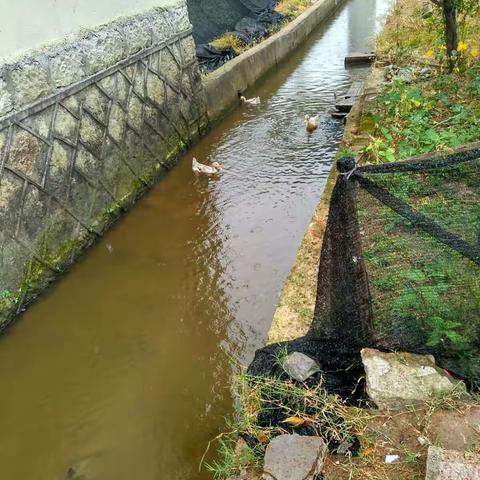 清理渠道，美化环境，卫生整治。共建和谐、美丽家园！卫生好、环境好！每个人的心情就好！心情好了身体就棒