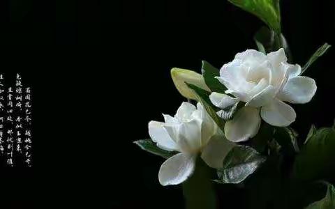 励志拼搏，冲刺期末--高二（5）班进行期末挑战赛