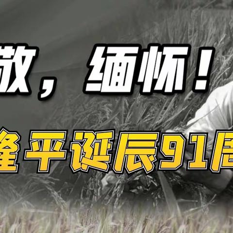 （原创）（诗文）缅怀“杂交水稻之父”袁隆平