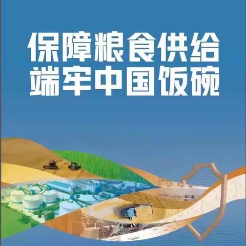 节约粮食，从我做起