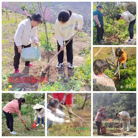 亲子齐修身,共植幸福树— — —武隆中学亲子植树活动