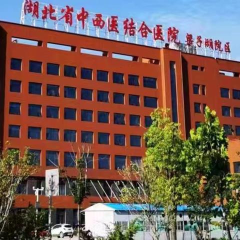 从分院初诊到总院成功内镜下止血：垂直化管理让跨院区救治消化道大出血“零卡顿”