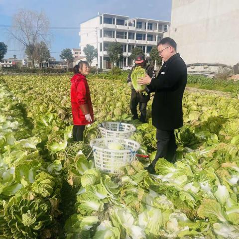 祝农发菜  祝侬发财