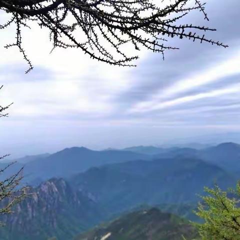 悠悠五十载梦军旅 老兵们重走秦岭路