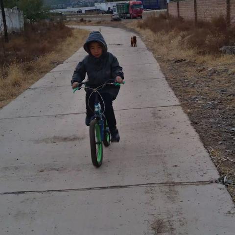 “停课不停学”——强身健体，共抗疫情