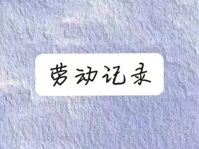 第二课堂之家务劳动篇