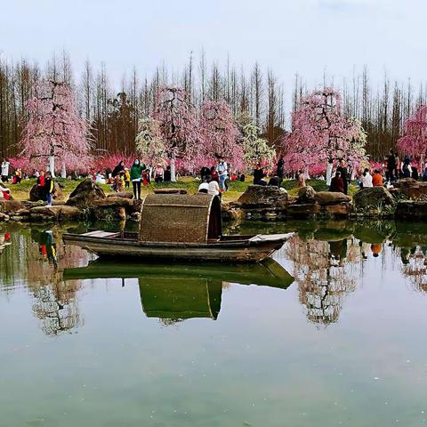 春节赏花一都江堰问花村