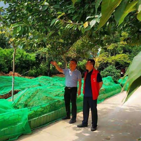迎全运盛会 创文明城市 翠华南路社区在行动之系列(六)