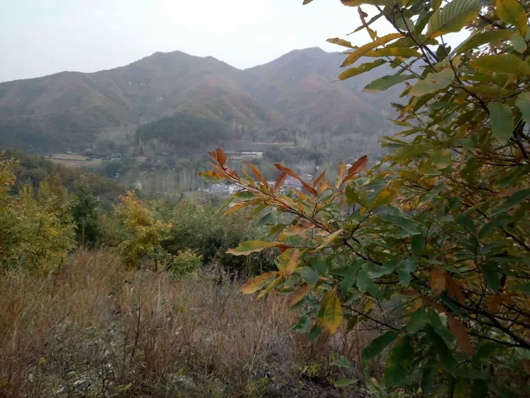 碾坪古寨