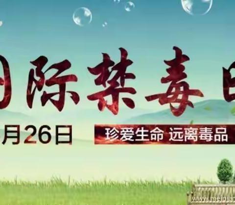 逸夫小学五(1)中队“全国禁毒日”主题教育宣传