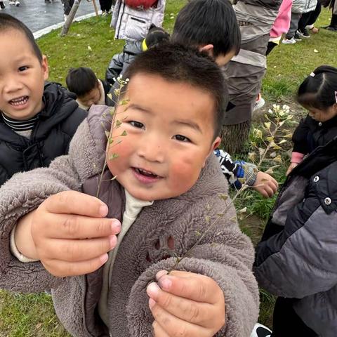 寻花探草 把春天装进回忆——小二班