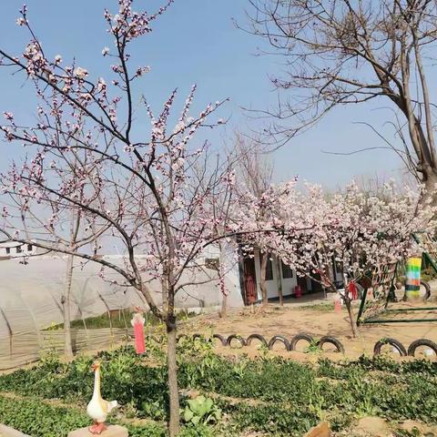 郑州航空港区宋庄幼儿园中一班第四周“生活精彩瞬间”