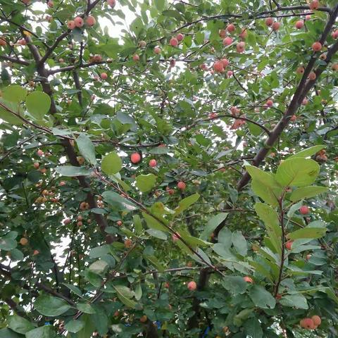 安全伴我行——金牛湖学校课间掠影