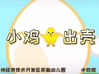 小鸡🐥出壳啦