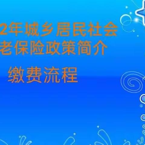 城乡居民社保养老保险政策简介及缴费流程