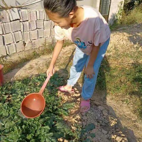 足蒸暑土气，背灼炎天光！