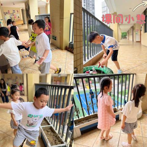 菲比暑假托管1班  快乐生活第二天