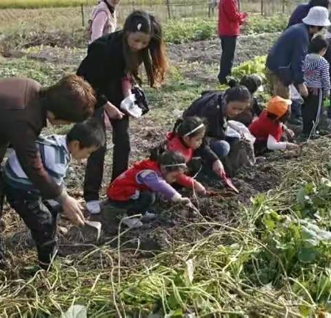 九九重阳，带上亲朋好友一块儿到老乐山去赏菊登高、挖红薯