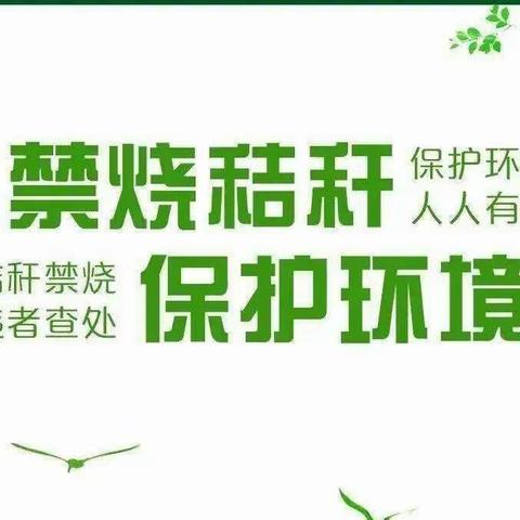 龙桥镇三角园村巡控秸秆焚烧乱象工作情况简报 【第十五期】