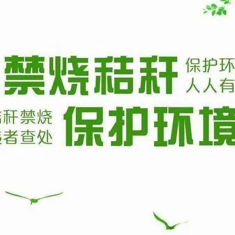 龙桥镇三角园村巡控秸秆焚烧乱象工作情况简报 【第十四期】
