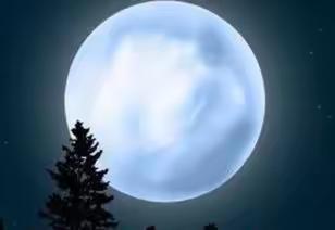 我愿如月君如雪