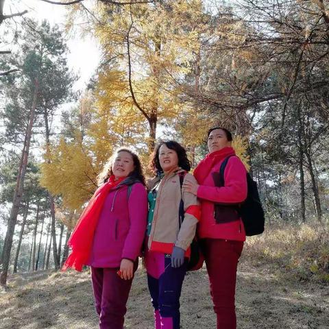 净月徏步赏秋季美景下集2017年10月22日