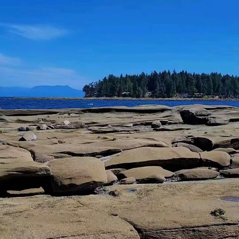 美丽的Nanaimo 的加比奥拉岛马拉斯皮纳