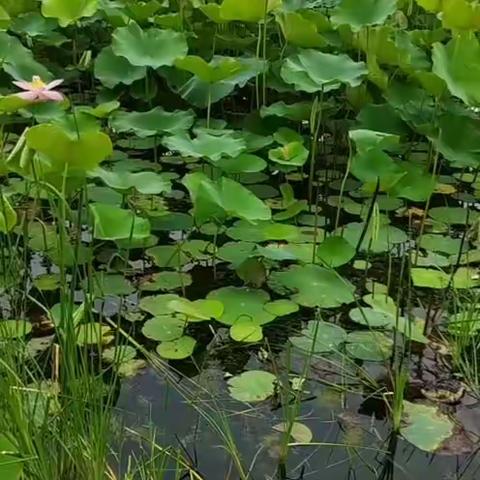 致腹透患者：做好自我管理，活出别样人生！