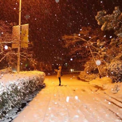 《子夜飞春雪》