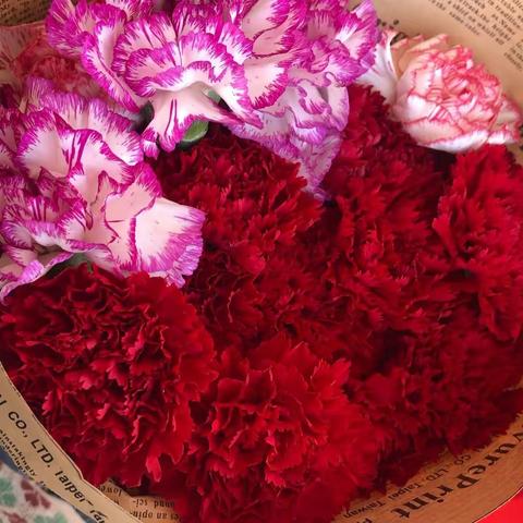 浓情五月天 感恩母亲节