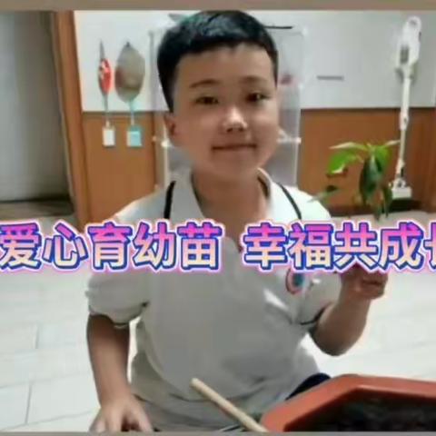 “爱心育幼苗，幸福共成长！”——第二小学三年二班在行动