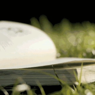 总结篇<汲取与养成>