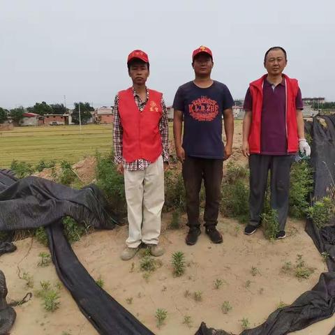 众志成城 共抗疫情