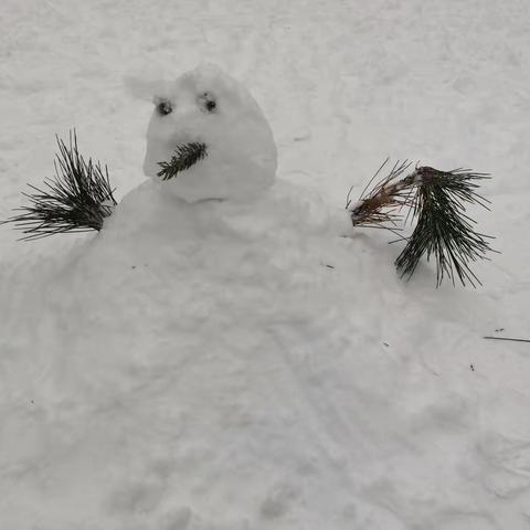 2021年的第一场雪