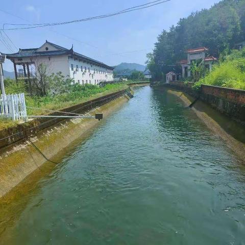 灌溉放水解民忧，为农田用水解渴降温