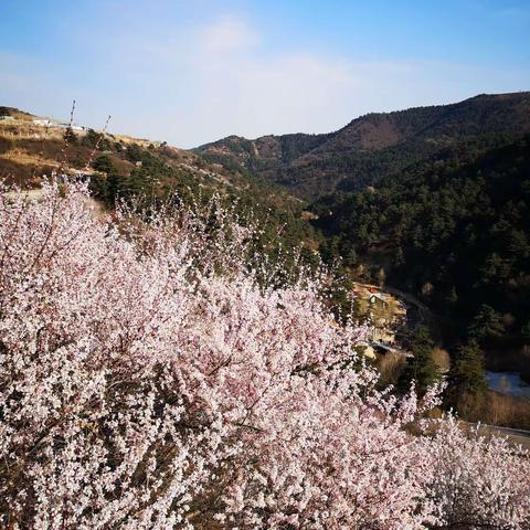 喜欢这样的季节🌸🌸🌸