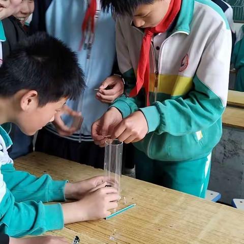 雄鹰展翅，高空翱翔———菜屯镇中心小学六一班最美学生李家乐