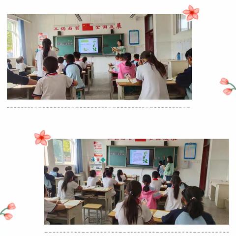 深入课堂 精准指导 助力教学 整体提升—菜屯镇阚庄小学指导课活动