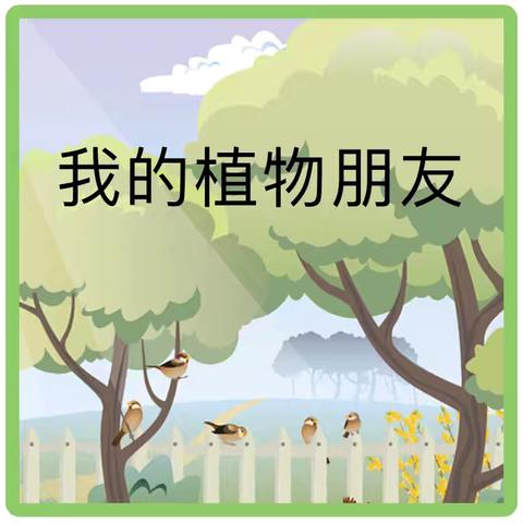《我的植物朋友》