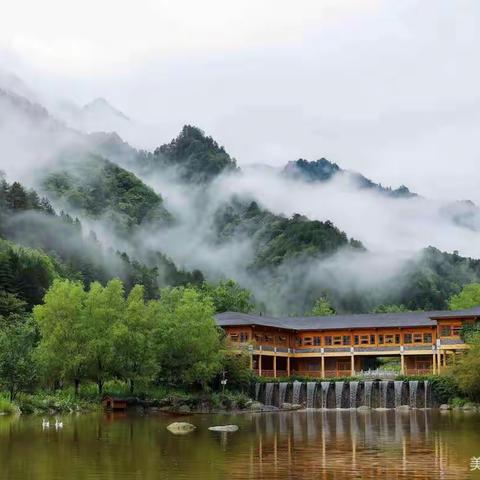 我市林业工作受到省上通报表扬