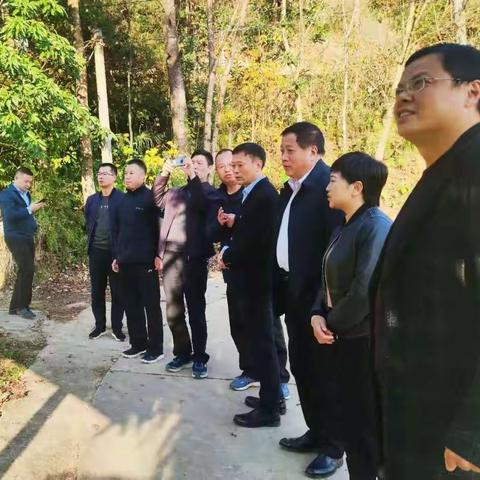 安康林业工作获省林业局领导高度评价和点赞肯定