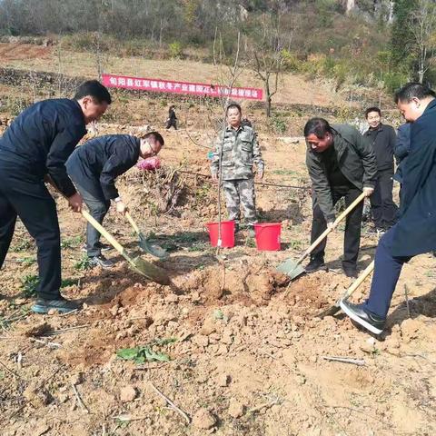 全市秋冬林业产业建园如火如荼