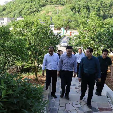 省林业局副局长刘保华一行来安调研生态脱贫工作