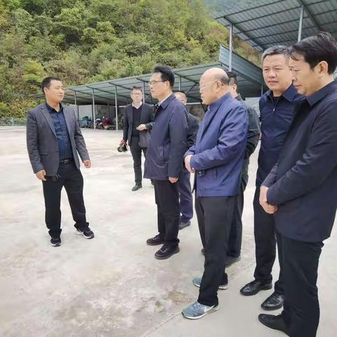 省林业局局长党双忍来安调研指导林长制推进工作