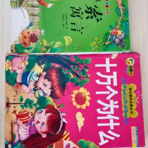 姬心悦的暑假生活记录（五个一）