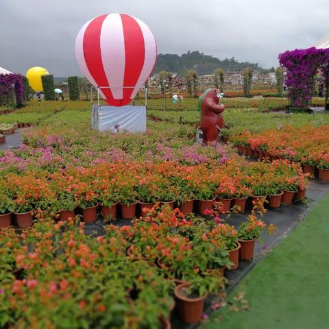 广西五彩田园一天游