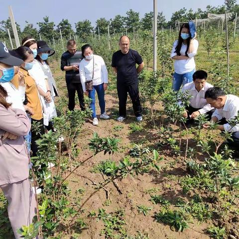 “高举旗帜、响应号召、奋进新时代、启航新征程”主题活动